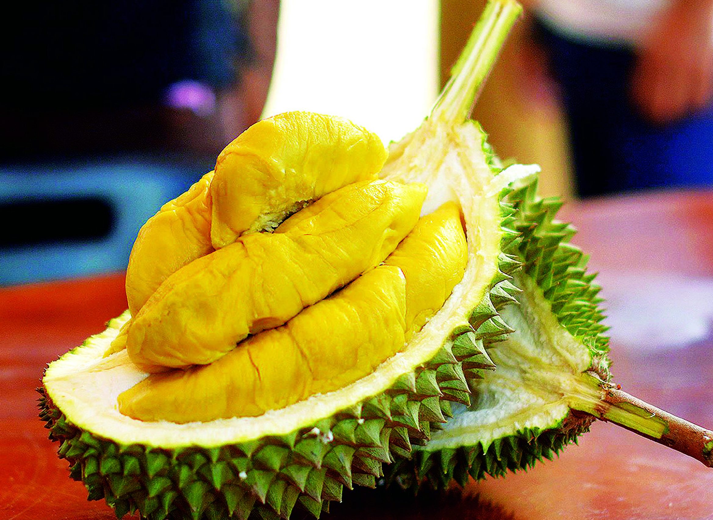 ATAY DURIAN 1 atay durian