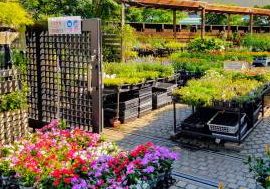 Etuza Garden Shop 1 etuza garden shop