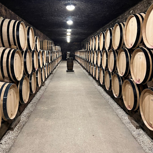 One B Wine One B Wine