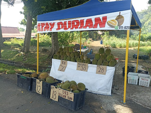 ATAY DURIAN ATAY DURIAN