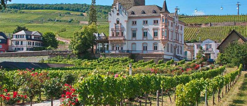 luxuriant wine house
