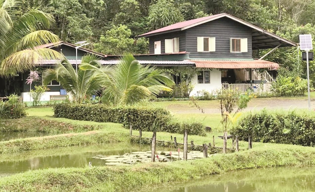 Noungan Farm 1 noungan farm