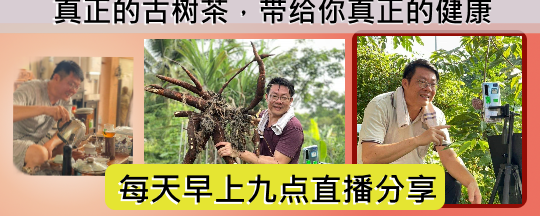 Teik Seang Wines Merchants 1 teik seang wines merchants