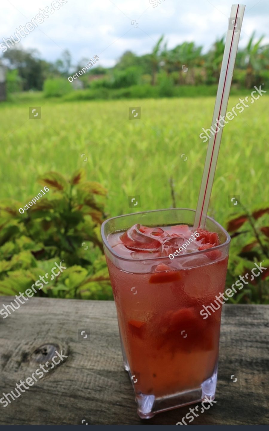 wedrink tumpat