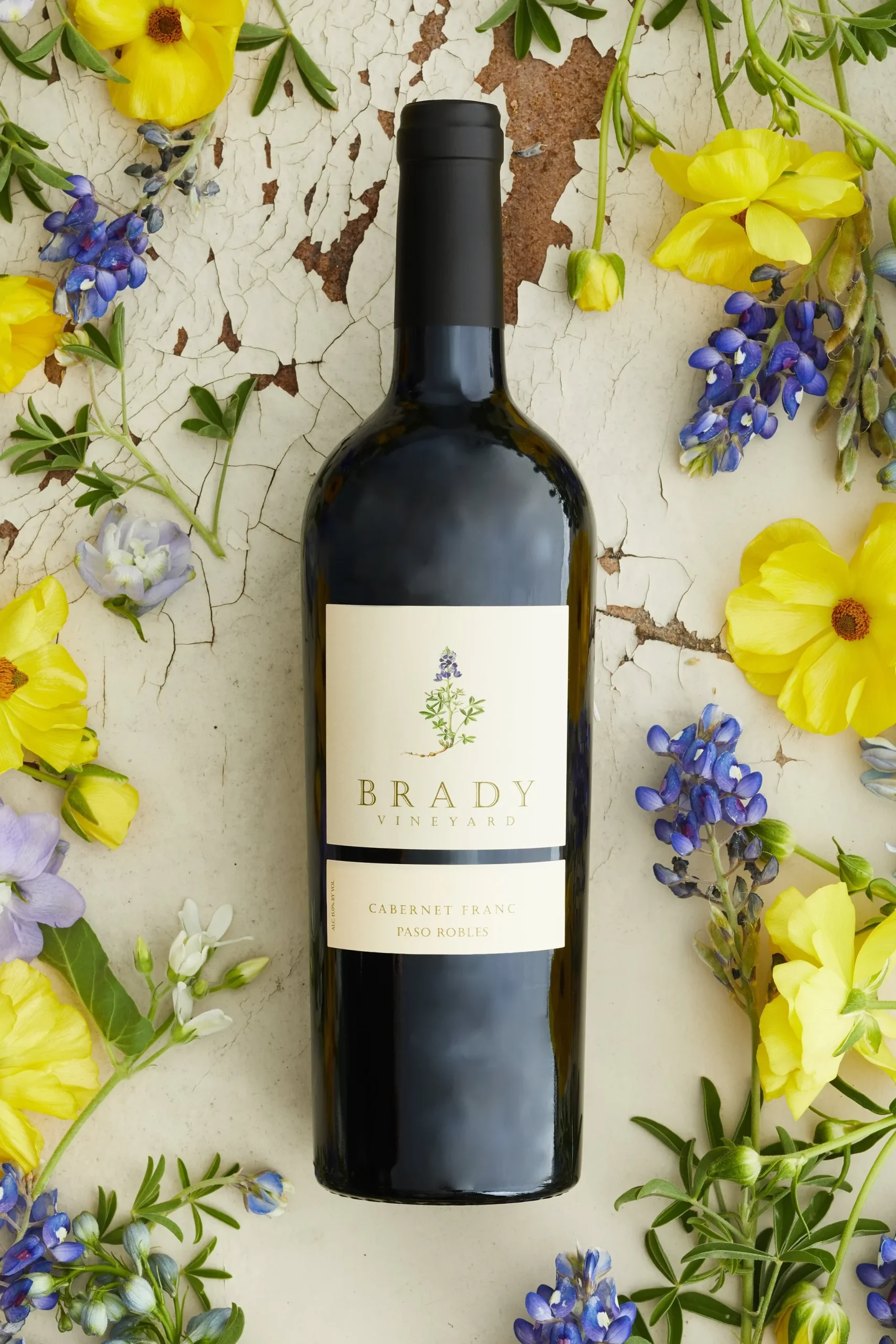 Wine Bardy 1 wine bardy scaled